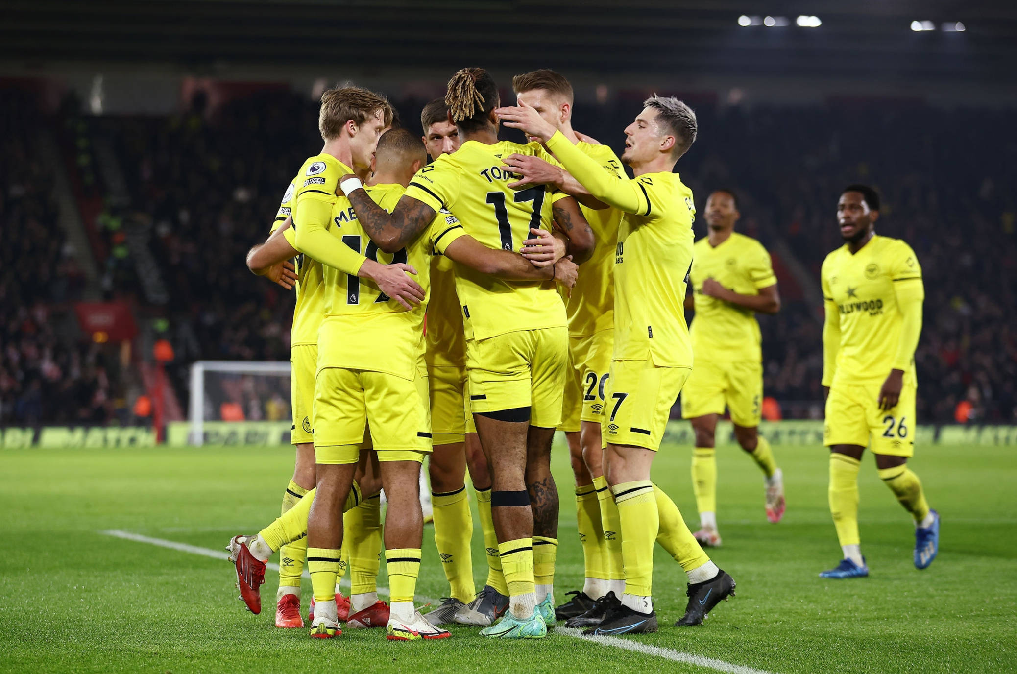 我们看到未 我们看到未